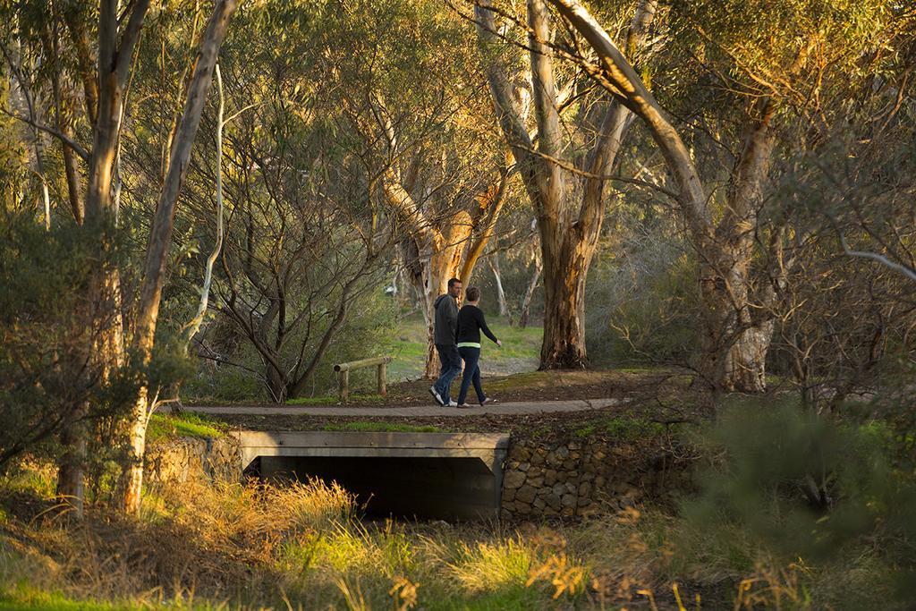 Big 4 Barossa Tourist Park 호텔 누리우파 외부 사진